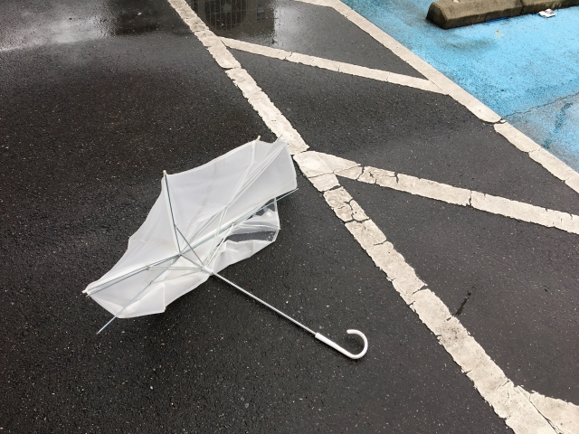 台風のとき傘を差すのはなぜなのか 理由を真面目に分析してみた 広域情報騎士