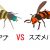 蜂とアブの違いの見分け方と刺されたときの症状、対処法の違い